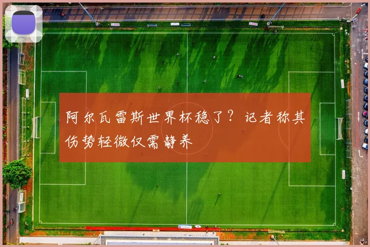 阿尔瓦雷斯世界杯稳了?记者称其伤势轻微仅需静养